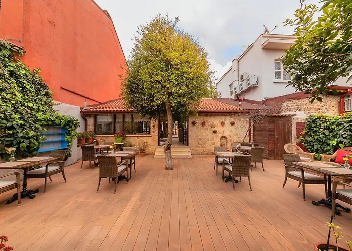 Zemira Garden فندق 5*